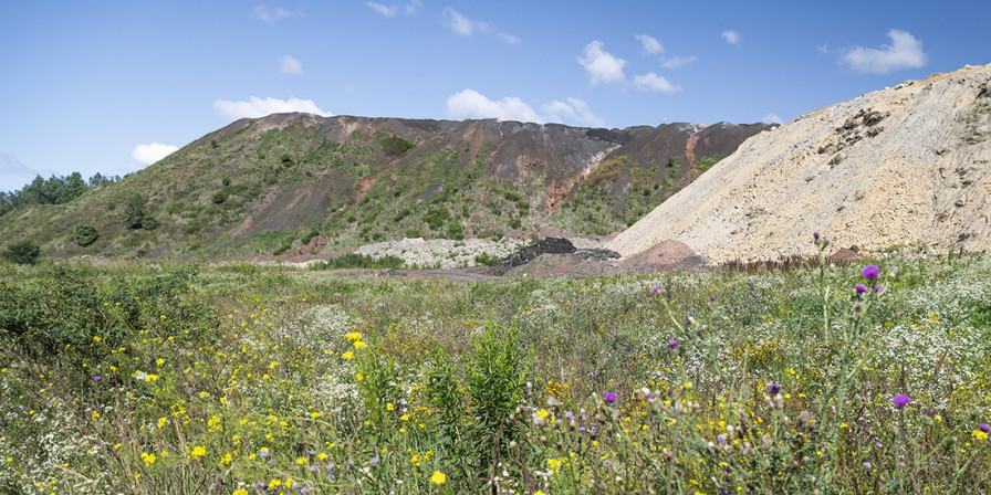 FAKTA POD HALDOU MÝTŮ – Český znalec napsal posudek na řešení, které neexistuje!